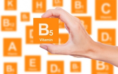 Top thực phẩm giàu vitamin B5 tốt cho máu và hormone sinh dục