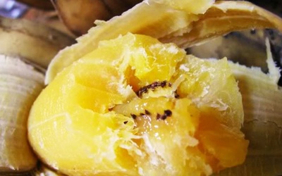 Lợi ích sức khỏe của chuối sáp – đặc sản Bến Tre