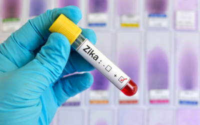 Sẽ nhanh có vaccine phòng ngừa virus Zika?