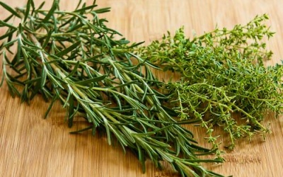 Giảm đau bằng thảo mộc - Cách hay vừa ngon vừa rẻ