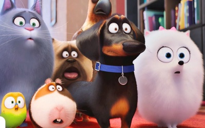 Đẳng cấp thú cưng khi chăm lo sức khoẻ cho chủ nhân