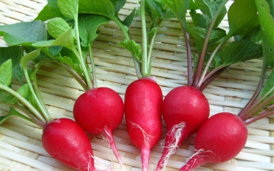 5 loại thực phẩm giá bình dân, tốt như nhân sâm