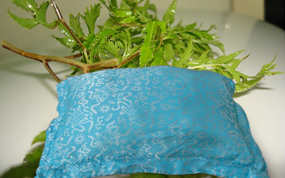 Gối đinh lăng có giúp trẻ ngủ ngon, chống ra mồ hôi trộm?