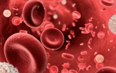 Làm thế nào để tăng cường oxy trong máu?