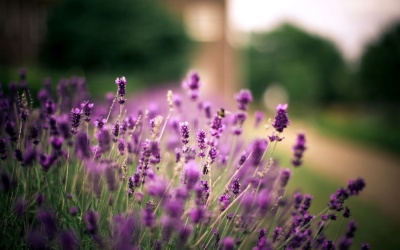 Điều bất ngờ nào chờ đón 12 cung hoàng đạo ngày 9/8/2016?