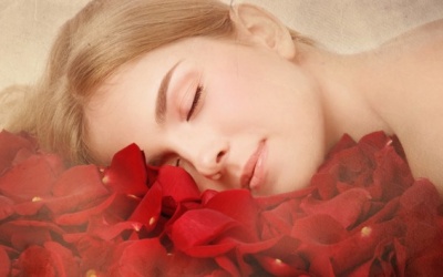 Hoa hồng - Bí quyết để có giấc ngủ ngon!