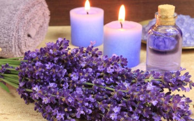 Ngày 12/8/2016 nói gì về bạn?