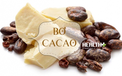 Bơ cacao: Bí quyết chăm sóc da hoàn hảo!