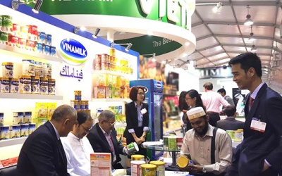 'Bò sữa' Việt Nam gian nan xuất ngoại - chuyện bây giờ mới kể