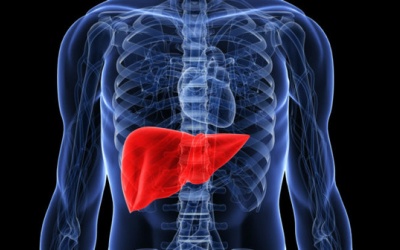 Cách làm nước uống giải độc gan