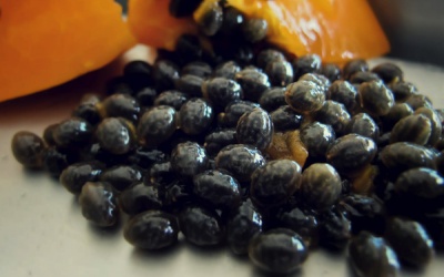 Có nên thanh lọc cơ thể bằng hạt đu đủ?