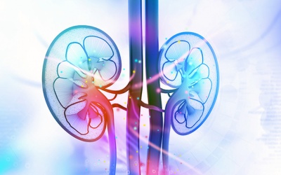 Bệnh thận mạn tính có thể gây đái tháo đường