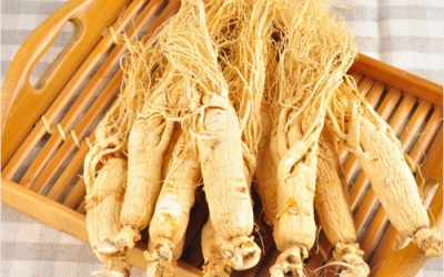 Ai dễ ngộ độc khi dùng nhân sâm?