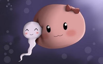 Tinh trùng yếu ăn trứng gà mật ong có 'khỏe' lên?