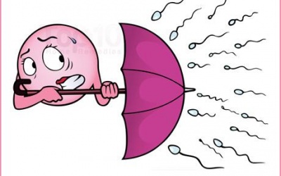 Bí kíp tránh thai không dùng thuốc và bao cao su