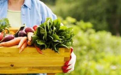 4 lời khuyên đơn giản về ăn uống cho túi mật khỏe mạnh