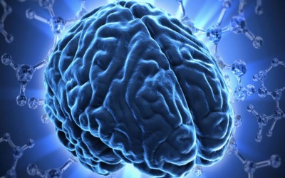 “Bộ não mini”- Phương pháp nghiên cứu mới căn bệnh Parkinson