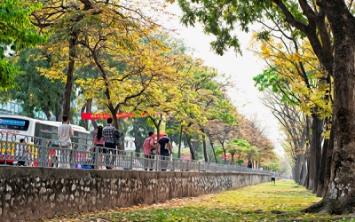 Ngày mai, trời mát mẻ, nắng Thu dịu: Không đi chơi hơi phí!