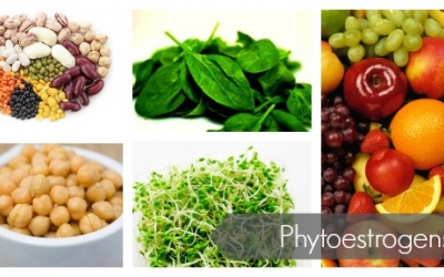 Dưỡng chất giúp kéo dài tuổi trẻ, tránh xa tuổi già nên ăn ngay