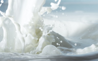 Loại sữa nào phù hợp cho bạn?