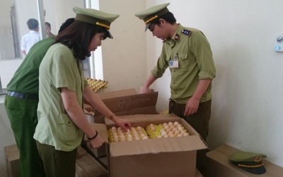 Tiêu hủy gần 5.000 trứng gà công nghiệp xuất xứ Trung Quốc