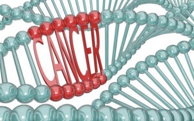 Tại sao một số người có khả năng chiến thắng ung thư?