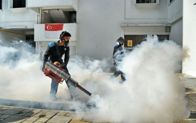WHO cảnh báo nguy cơ virus Zika bùng phát rộng ở châu Á