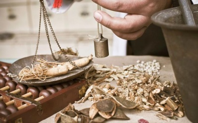 Khuyến khích nuôi trồng dược liệu cho ngành y học cổ truyền