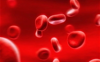 Những điều không thể bỏ qua về cholesterol