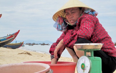 Vụ cá chết hàng loạt: Quảng Bình đã có định mức đền bù
