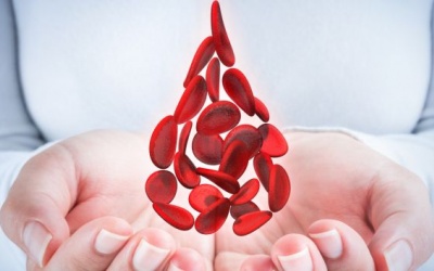 5 thực phẩm giúp tăng số lượng tiểu cầu trong máu