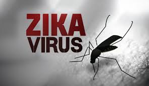 Những dị tật thai nhi có liên quan đến virus Zika cần biết 