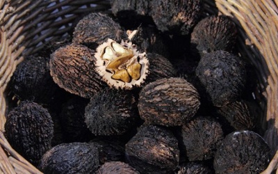 Quả óc chó đen: Lạ nhưng bổ