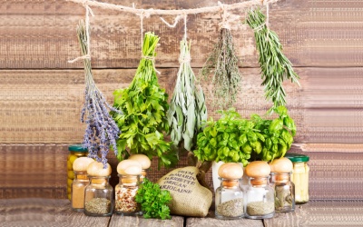 Thảo mộc tươi và khô - Loại nào là tốt hơn?