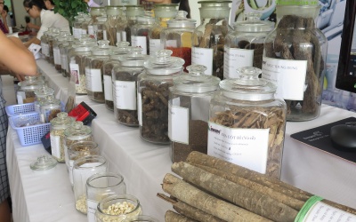 Báo động: Quá nửa dược liệu ở Việt Nam là nhập lậu