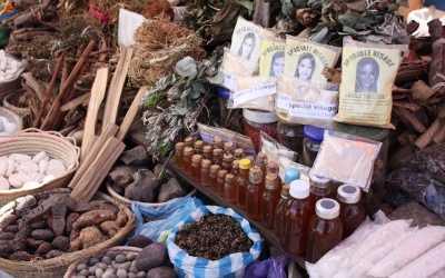 Liên tục phát hiện dược liệu 'rởm'!