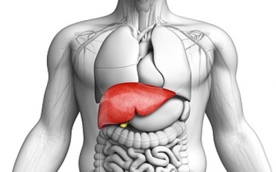 5 loại đồ uống giúp làm sạch gan tự nhiên