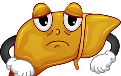 Gan nhiễm mỡ: Người không uống rượu cũng có thể mắc bệnh