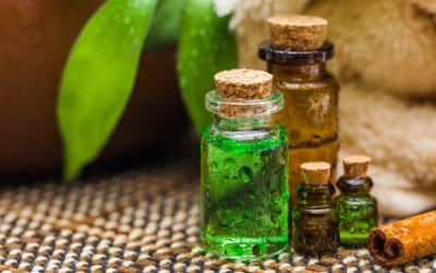 Tinh dầu cây trà: Bí quyết chăm sóc da và tóc hiệu quả
