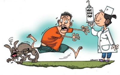 Đã có 49 người Việt chết vì bệnh dại trong năm 2016