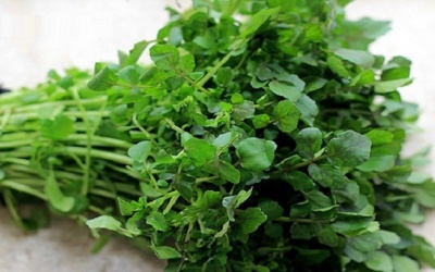 6 lợi ích sức khỏe của rau cải xoong