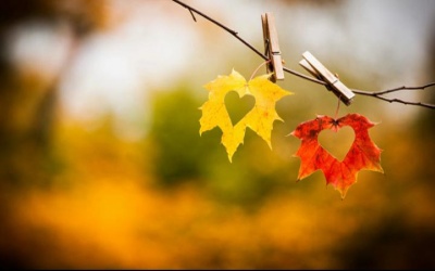 Chào đón ngày 7/10/2016 với 12 cung hoàng đạo