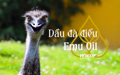 Công dụng làm đẹp và chữa nhiều bệnh của dầu đà điểu