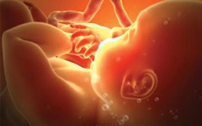 Sự phát triển kì diệu của bộ não thai nhi