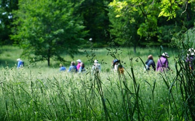 Ngạc nhiên với 5 cách chống nhiễm trùng lạ kỳ