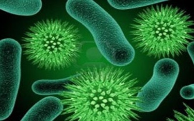 Hà Tĩnh: 11 người tử vong vì bệnh lạ Whitmore