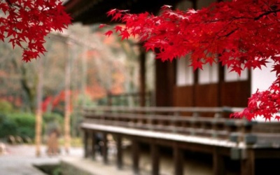 Chào đón ngày 14/10/2016 với tử vi 12 cung hoàng đạo!