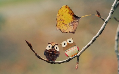 Tử vi 12 cung hoàng đạo thứ bảy (15/10/2016) 