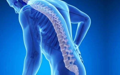 5 phương pháp tự nhiên giúp phòng ngừa chứng loãng xương