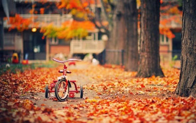 Ngày 18/10/2016 có gì đặc biệt với 12 cung hoàng đạo?